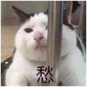 欲梦走光福利无删减在线视频
